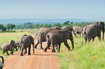 3 Days Group Joining Serengeti and Ngorongoro Safari
