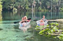 Gator Viewing Clear Kayak Springs Tour