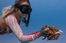 Turtle Canyon Snorkel from Waikiki: Turtles Guaranteed