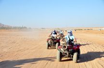 Quad Bike, Jeep, Camel, Sunset, Dinner and Stargazing in Hurghada