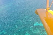 Private Ultralight Seaplane Experience in Guadeloupe