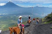 Pacaya Volcano Horseback Fast Ride Lava Pizza Chef
