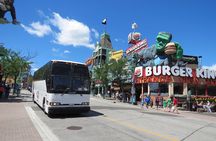Niagara Falls Day Tour from Toronto with Wine Tasting