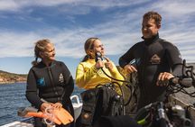 Great Keppel Island PADI Discover Scuba Dive with Keppel Dive