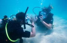 Great Keppel Island PADI Discover Scuba Dive with Keppel Dive