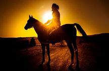 Sunset Horseback Ride at Macao Beach & Forest with Transfers