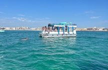 One Hour Harbor Shared Tour with Dolphin Watching 
