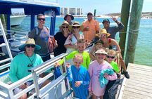 One Hour Harbor Shared Tour with Dolphin Watching 