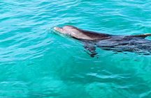 Premium Non-Private 3 Hour Crab Island and Eco Tour with Bathroom