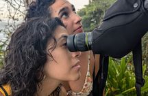 Puerto Viejo's walking tour: Sloth spoting guaranteed 