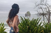 Puerto Viejo's walking tour: Sloth spoting guaranteed 