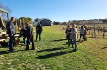 Full-Day Canberra Brewery, Wineries & Distillery tour /w lunch
