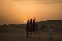 Dubai Desert Safari Dune Bashing, Camel Ride, Sandboarding & BBQ