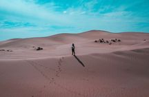 Morning Desert Safari Camel Ride Dune Bashing and Sand Boarding