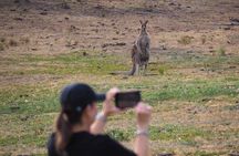 Sydney Wildlife Safari