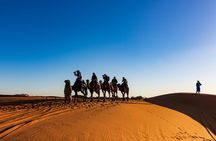 Private Evening Dubai Desert Safari, Camel Ride and Sand Boarding
