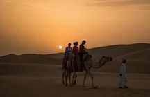 Private Evening Dubai Desert Safari, Camel Ride and Sand Boarding