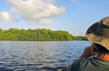 Basking in Nature during a Caroni Bird Sancturary Tour
