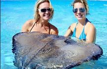 Stingray Adventure And Long Bay Beach
