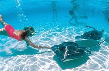 Stingray Adventure And Long Bay Beach