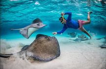 Stingray Adventure And Long Bay Beach