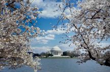 Washington DC Private Tour with Luxury SUV and Tour Guide