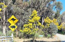 Sydney Wildlife Safari