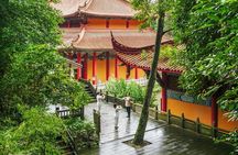 Qing Cheng mountain Taichi class & Tea-tasting experience