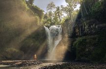 Half Day Customized Ubud Highlight Tour