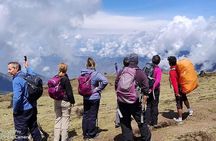 Darjeeling Singalila Sandakphu Circuit Trek
