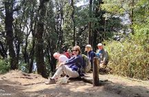 Darjeeling Singalila Sandakphu Circuit Trek