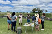Full-Day Mokoro Experience in the Okavango Delta