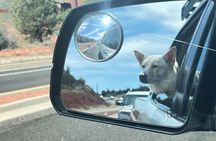 Sedona Magical Vortex Adventure