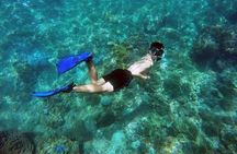 Cham Island Snorkeling Day Trip from Hoi An or Da Nang