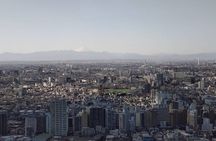 Private Day Tour of Tokyo Shrine for Oharai Yakubarai 