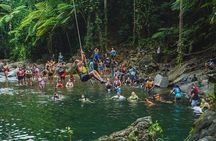 VIP Small Group El Yunque Rainforest Adventure