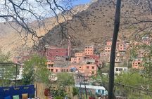 Marrakech: Ourika Valley, Atlas Mountains, Waterfall Hike & Lunch