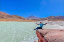 Full Day Tour Altiplanicas and Piedras Rojas Lagoon with Food