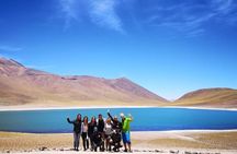 Full Day Tour Altiplanicas and Piedras Rojas Lagoon with Food