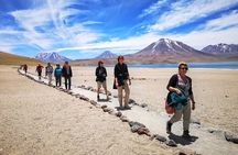 Full Day Tour Altiplanicas and Piedras Rojas Lagoon with Food
