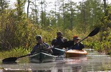 Okefenokee Swamp: Guided Kayak Tour with a Local Naturalist