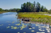 Okefenokee Swamp: Guided Kayak Tour with a Local Naturalist