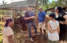 Explore Bentota Village: Guided Tuk Tuk Safari