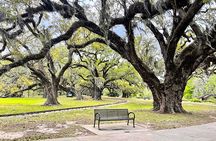 New Orleans Driving Tour of Bayou St. John, City Park, Treme etc