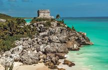 Mother Nature, Tulum, Casa Tortuga Cenote and 5th av