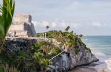Mother Nature, Tulum, Casa Tortuga Cenote and 5th av
