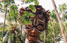Mother Nature, Tulum, Casa Tortuga Cenote and 5th av