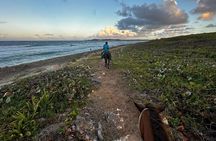 Sunset Horseback Ride at Macao Beach & Forest with Transfers