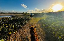Sunset Horseback Ride at Macao Beach & Forest with Transfers