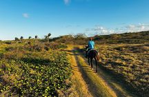 Sunset Horseback Ride at Macao Beach & Forest with Transfers